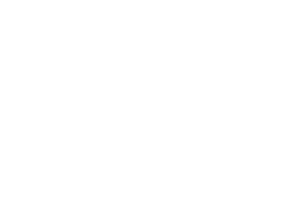 iron-mountain-white